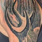 Tattoos - Wilderness Sleeve - 143753